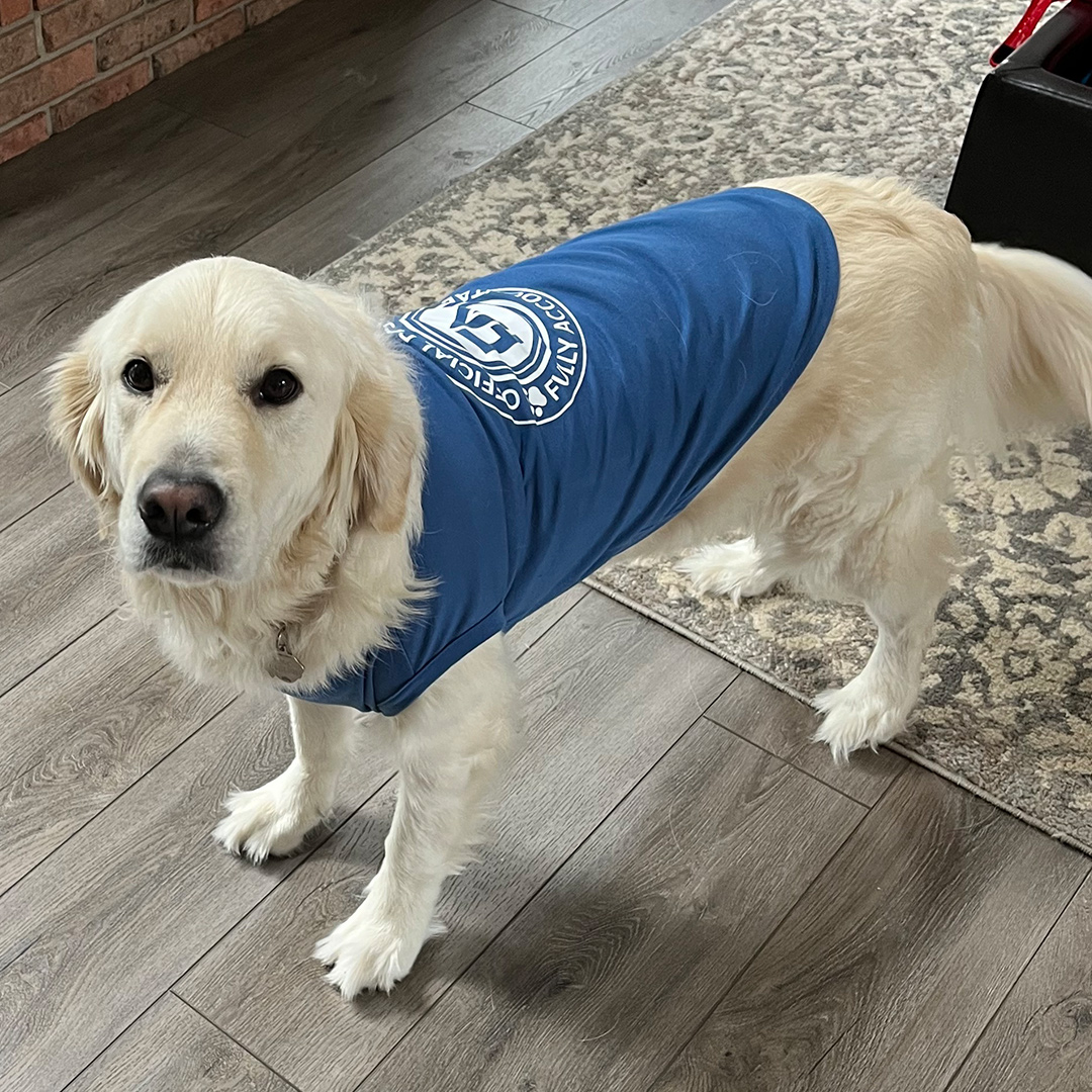 Dogst 2022 - Photo 12