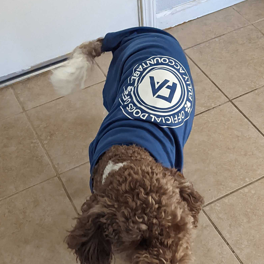 Dogst 2022 - Photo 13