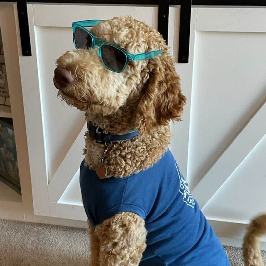 Dogst 2022 - Photo 20