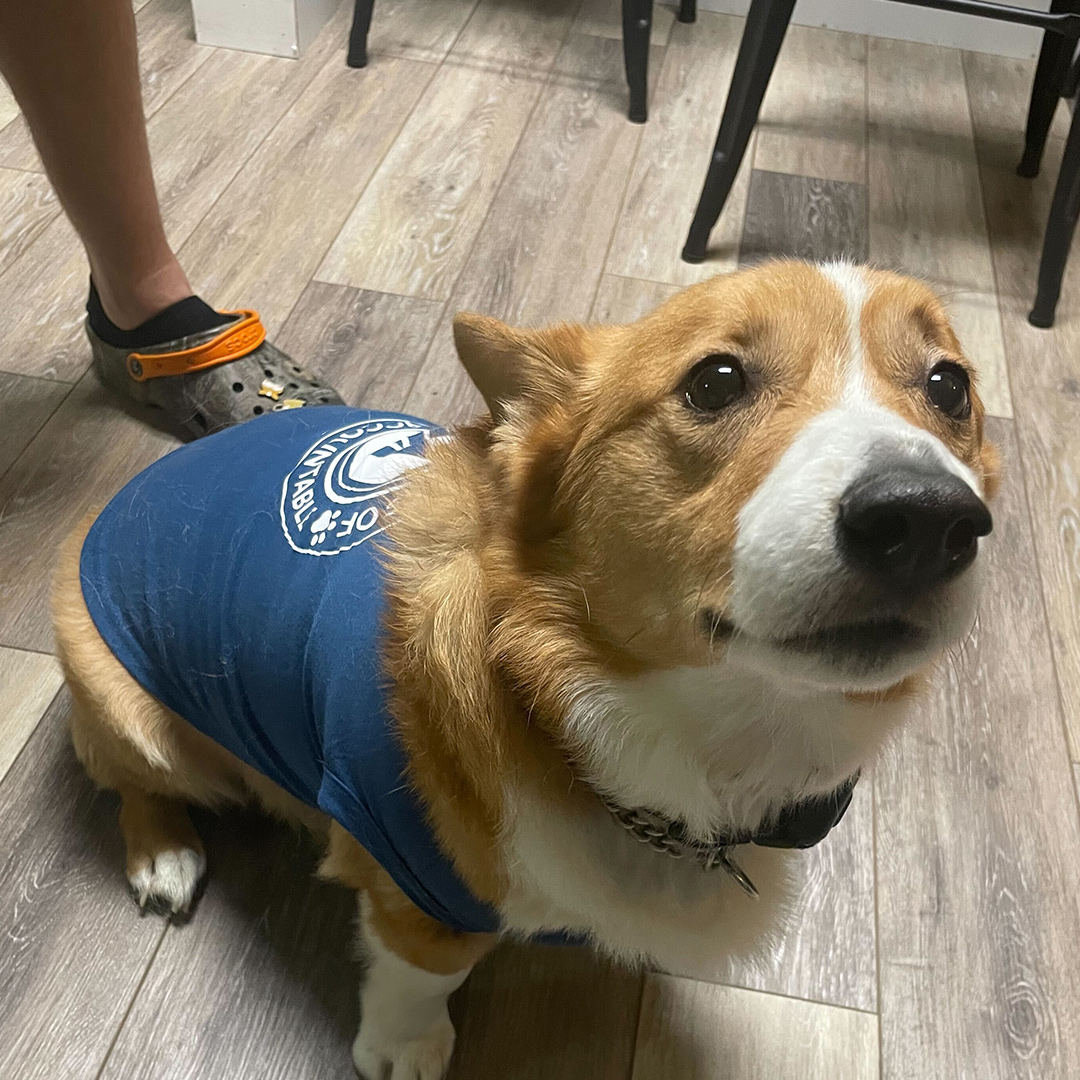 Dogst 2022 - Photo 21