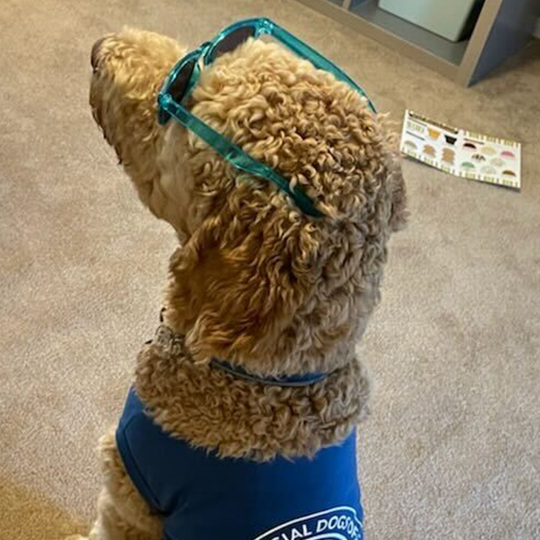 Dogst 2022 - Photo 24