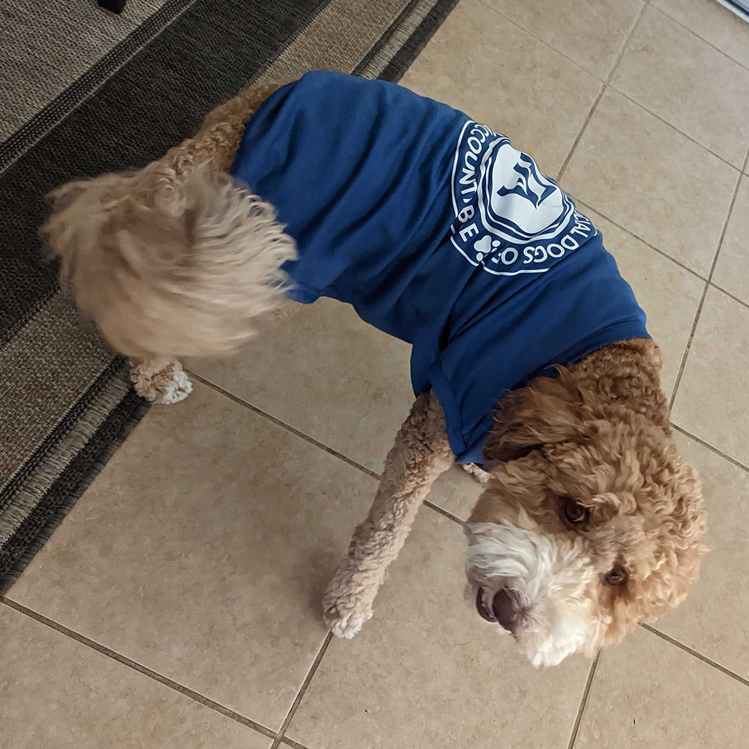 Dogst 2022 - Photo 5